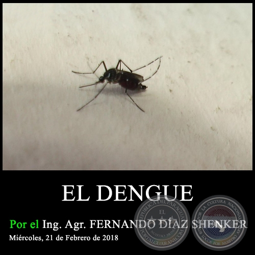 EL DENGUE - Ing. Agr. FERNANDO DÍAZ SHENKER - Miércoles, 21 de Febrero de 2018